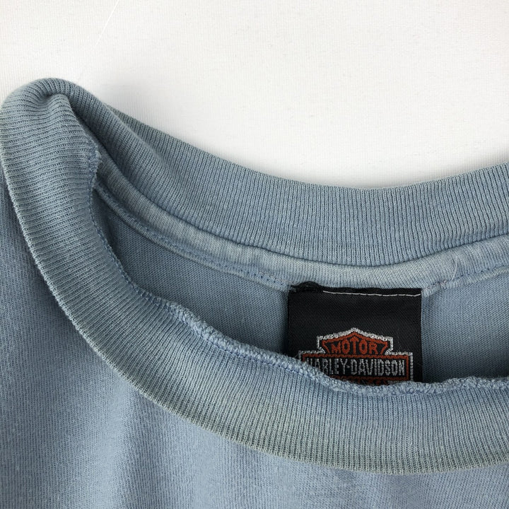 90'S Harley-Davidson Hanes BEEFY-T Eagle Pattern Motorcycle T-Shirt, Made in USA, Men's XL equivalent. cotton Blue type light blue Vintage Second Hand