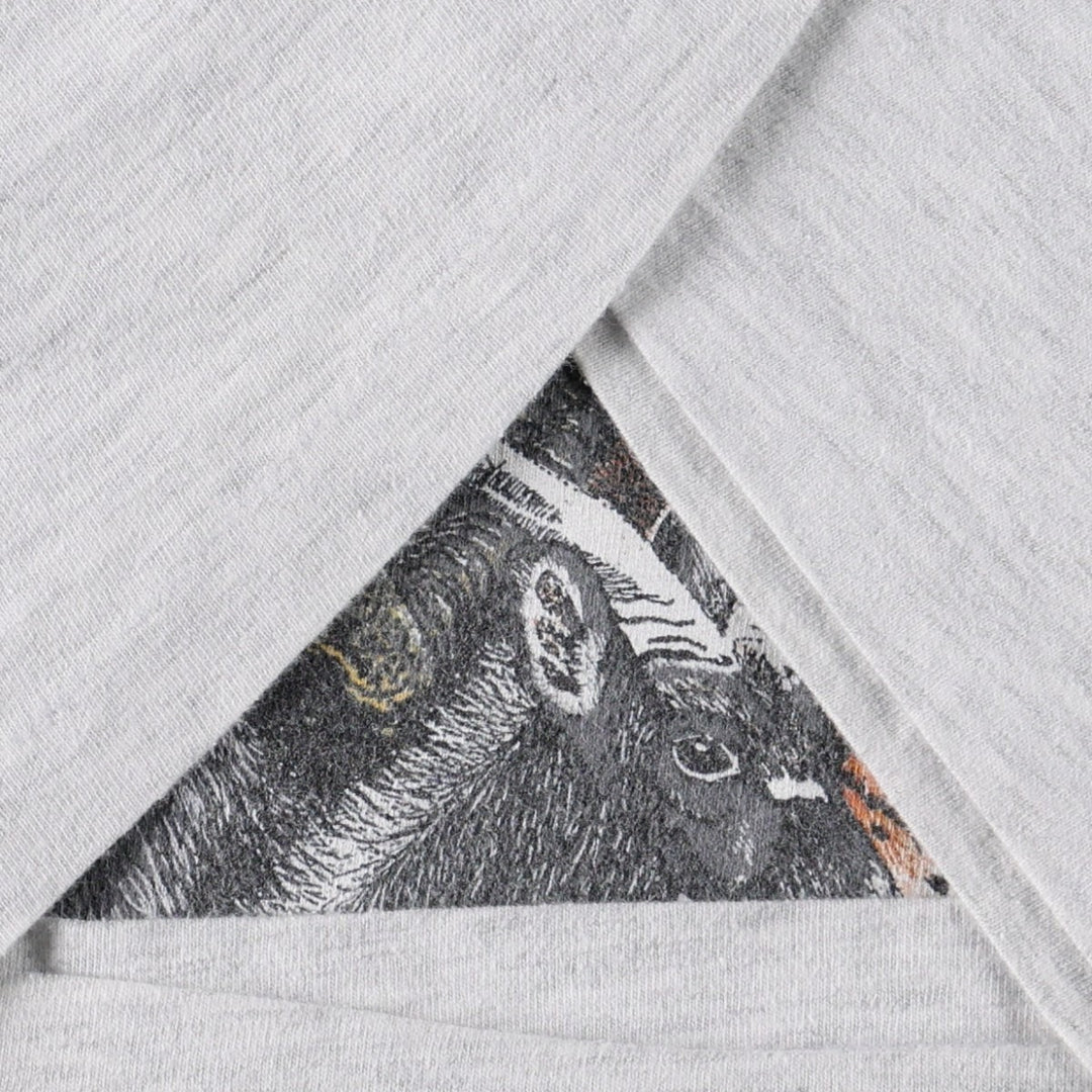 90'S Hanes BEEFY-T Animal T-Shirt, Made in USA, Men's XL equivalent, Vintage cotton gray type Vintage Second Hand