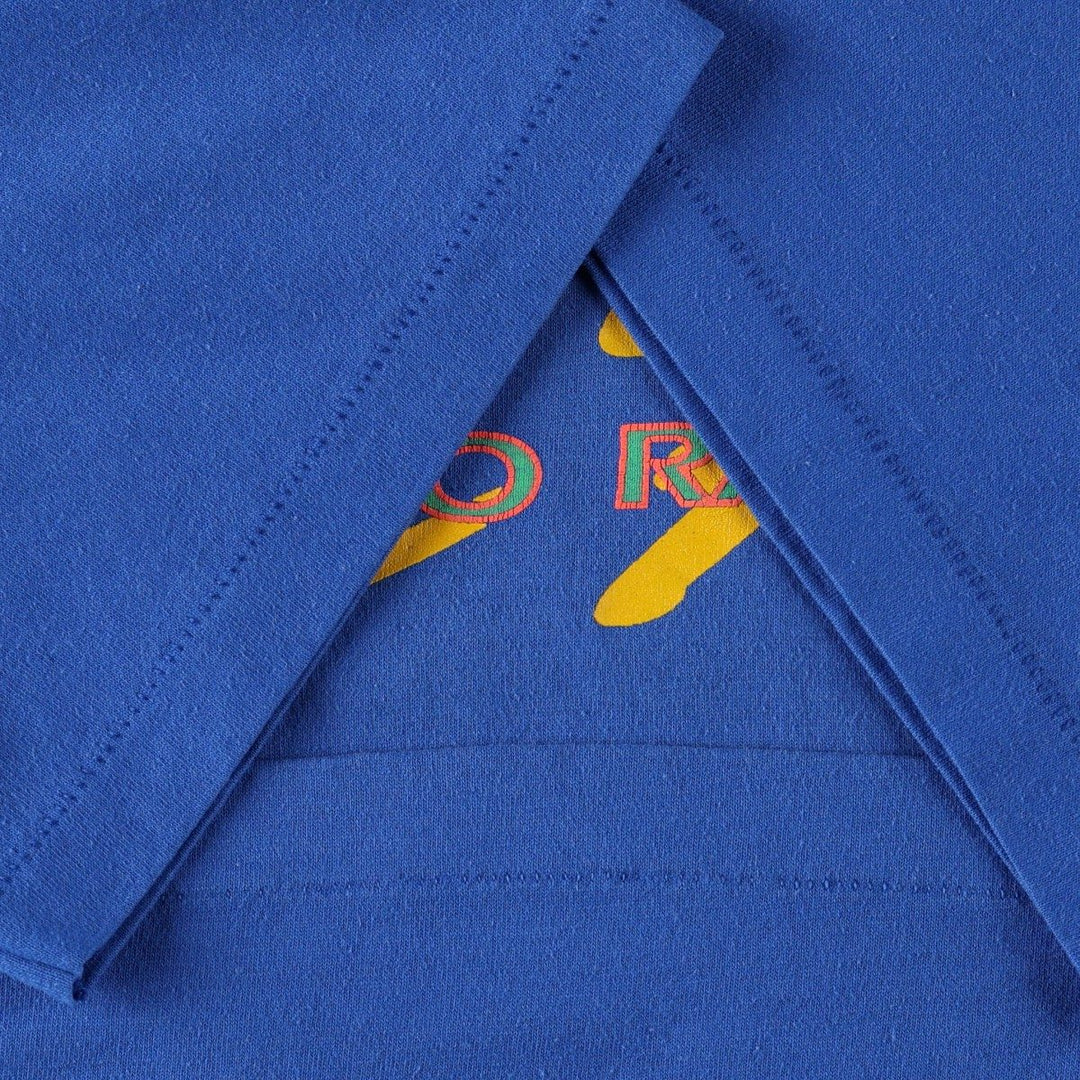 90'S Hanes HEAVYWEIGHT 50 cotton blue type Vintage Second Hand