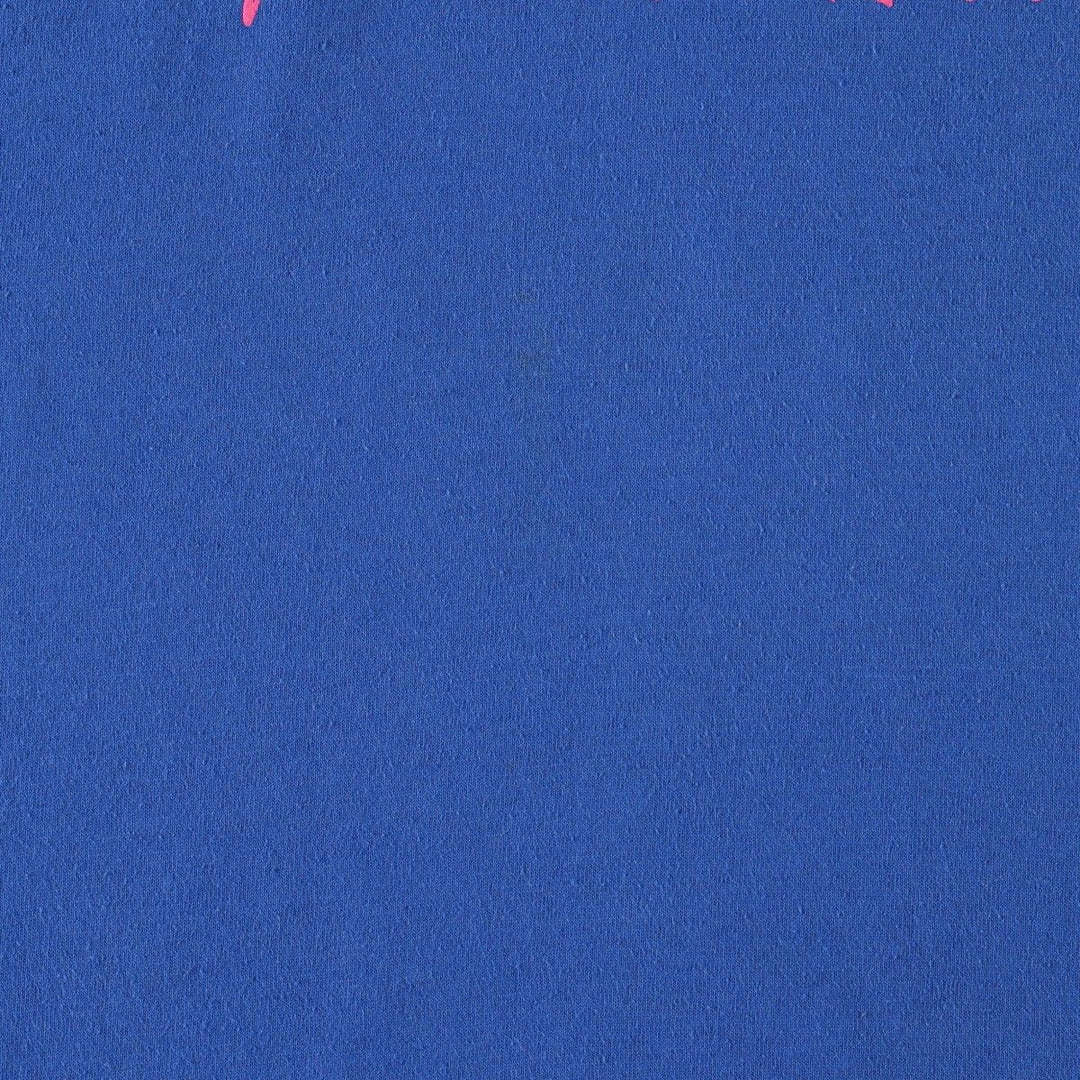 90'S Hanes HEAVYWEIGHT 50 cotton blue type Vintage Second Hand