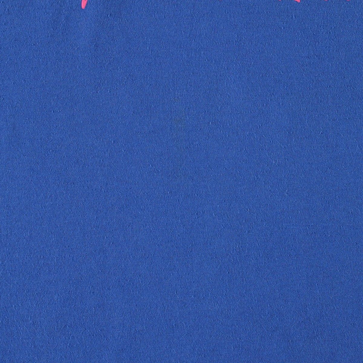 90'S Hanes HEAVYWEIGHT 50 cotton blue type Vintage Second Hand