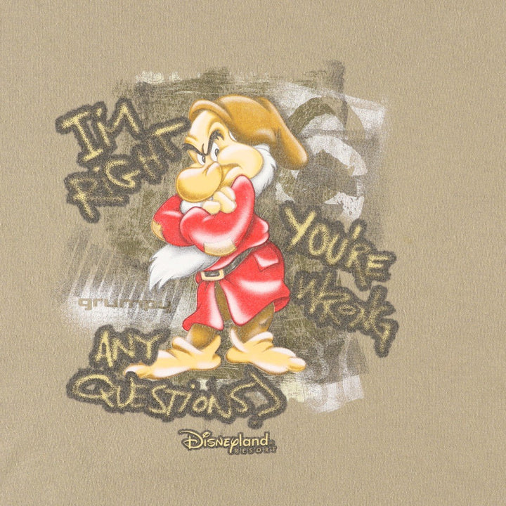 Disneyland Snow White and the Seven Dwarfs Grumpy Anime Character Print T-Shirt (Men's XL equivalent) cotton beige type brown Vintage Second Hand