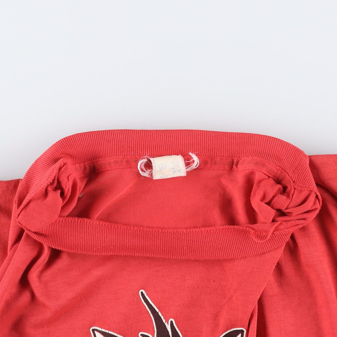 70'S ARTEX Looney Tunes Sylvester Cat Character Print T-Shirt, Made in USA, Men's Size L (Equivalent), Vintage cotton red type Vintage Second Hand
