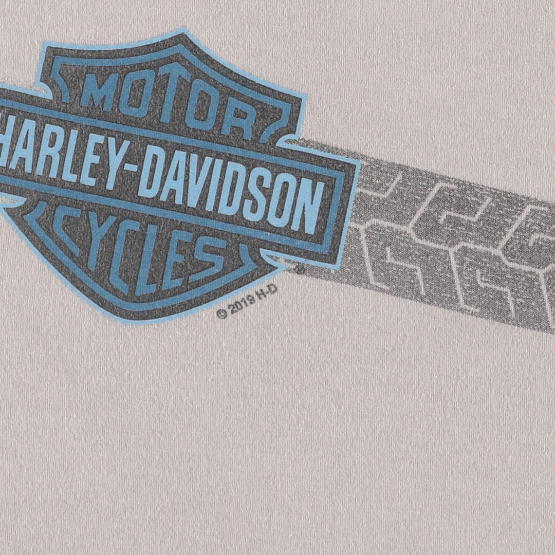 Harley-Davidson Motorcycle Bike T-shirt, Men's Size L cotton gray type Vintage Second Hand