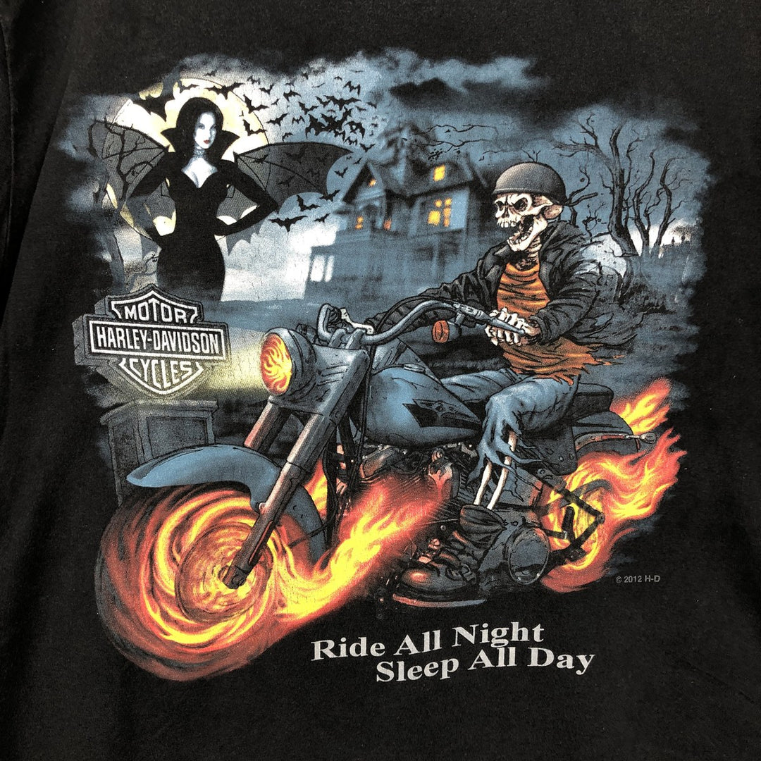 Harley Davidson Skull Pattern Fire Pattern Motorcycle Bike T-shirt Men's L size cotton black type Vintage Second Hand