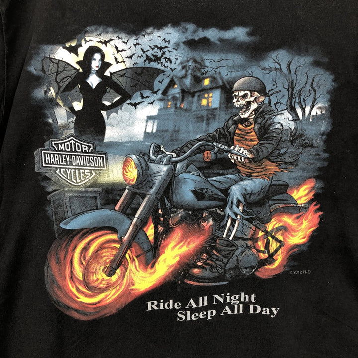 Harley Davidson Skull Pattern Fire Pattern Motorcycle Bike T-shirt Men's L size cotton black type Vintage Second Hand