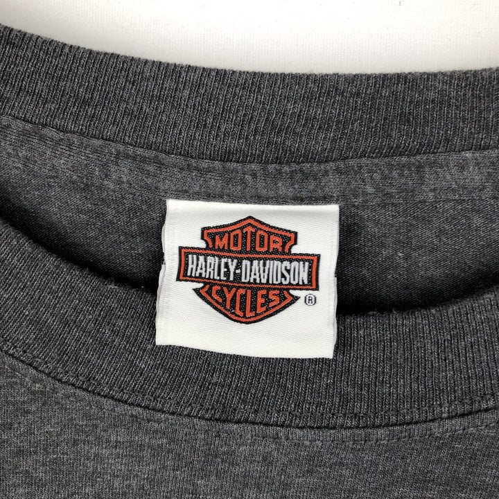 Harley-Davidson Skull Pattern Skull Wing Motorcycle T-Shirt, Men's XXL (approx.) cotton Charcoal Vintage Second Hand