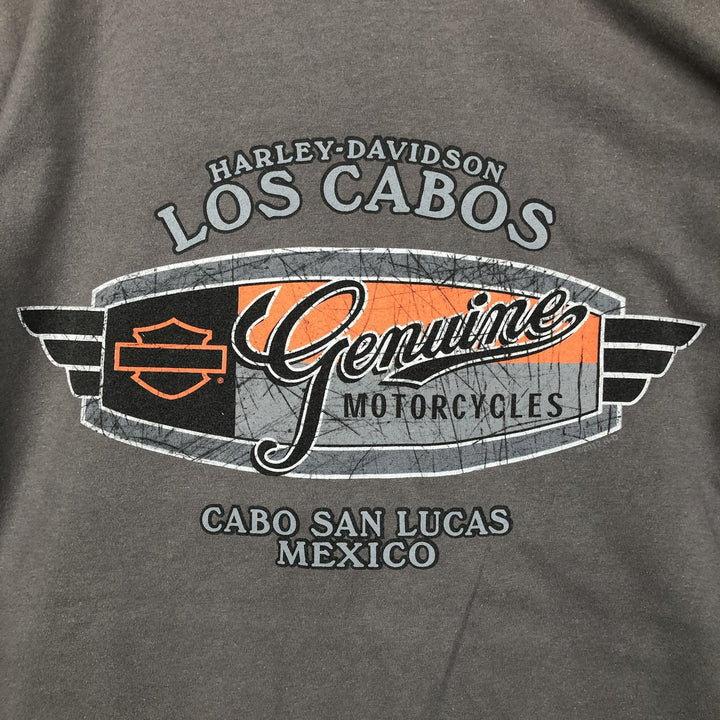 Harley-Davidson Motorcycle Bike T-shirt, Men's Size L cotton Charcoal Vintage Second Hand