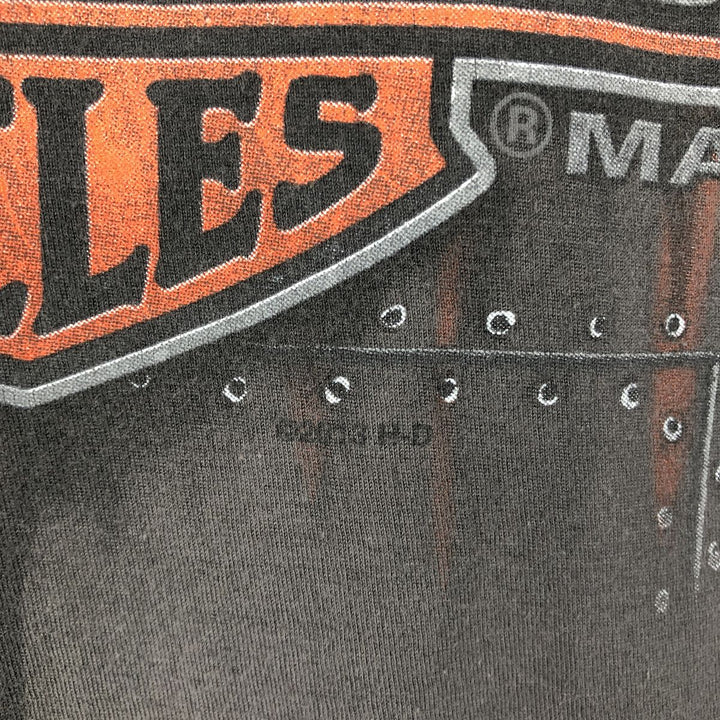 Harley-Davidson Motorcycle Bike T-shirt, Men's Size L cotton Charcoal Vintage Second Hand
