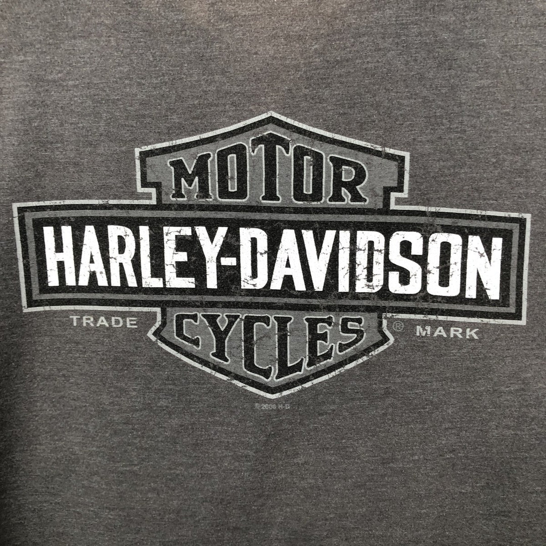 Harley-Davidson Motorcycle Bike T-shirt, Men's Size L cotton Charcoal Vintage Second Hand