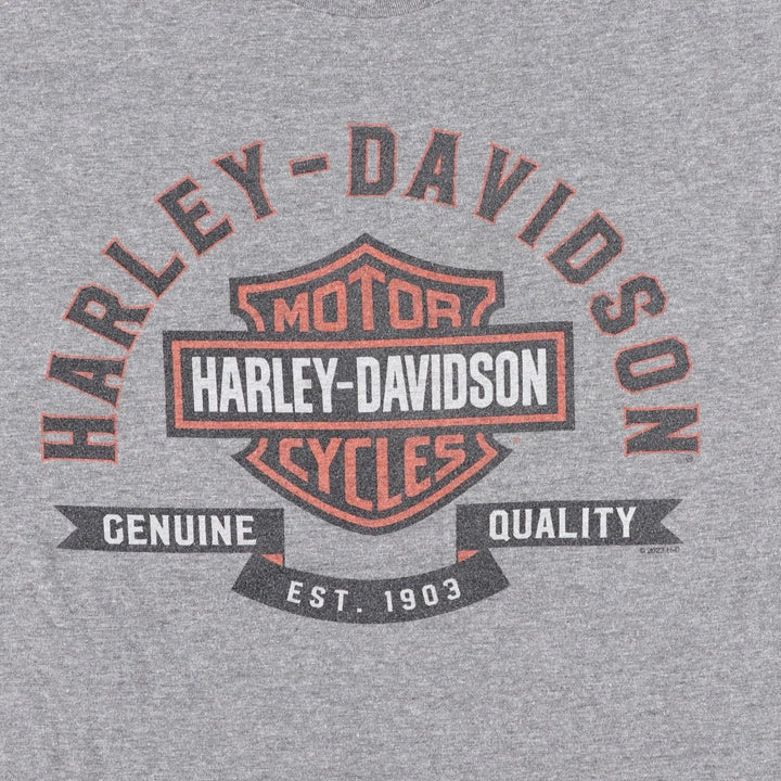 Harley-Davidson Motorcycle Bike T-shirt, Men's XL size polyester gray type Vintage Second Hand