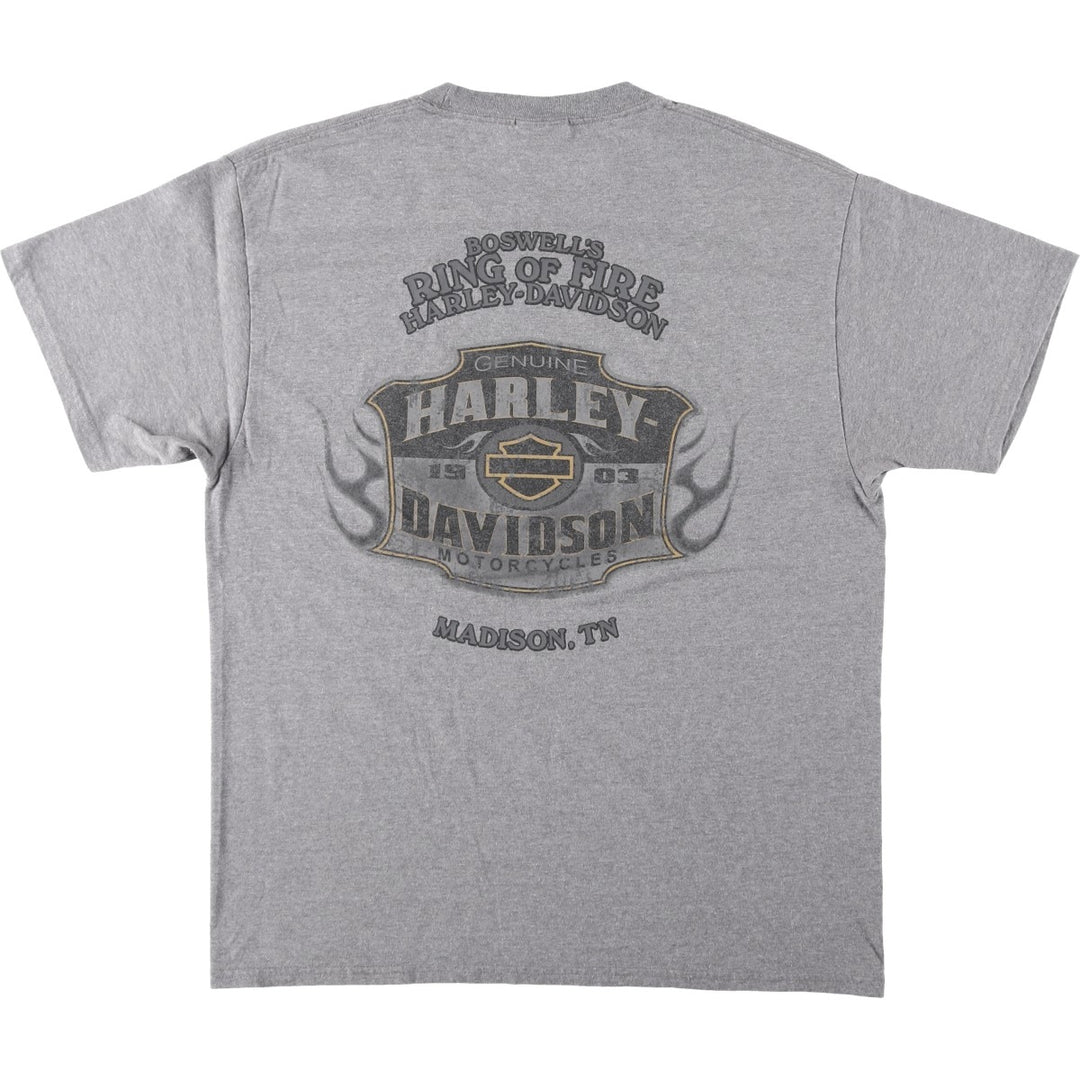 Harley-Davidson Motorcycle Bike T-shirt, Men's Size L cotton gray type Vintage Second Hand