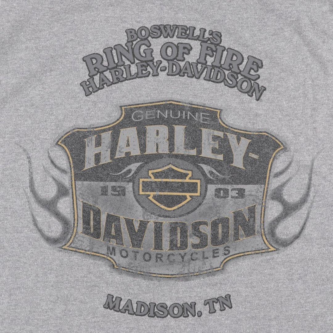 Harley-Davidson Motorcycle Bike T-shirt, Men's Size L cotton gray type Vintage Second Hand