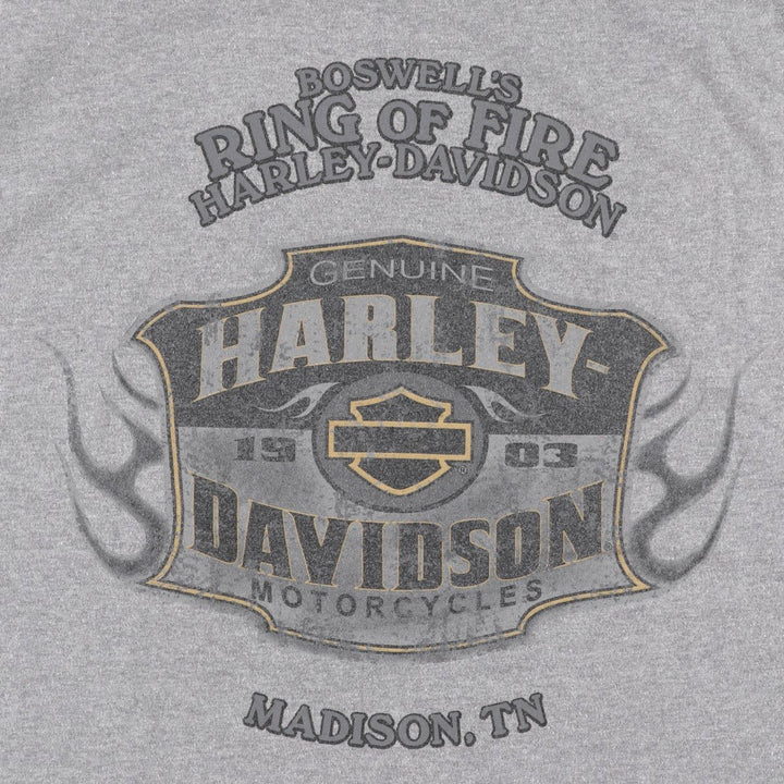 Harley-Davidson Motorcycle Bike T-shirt, Men's Size L cotton gray type Vintage Second Hand