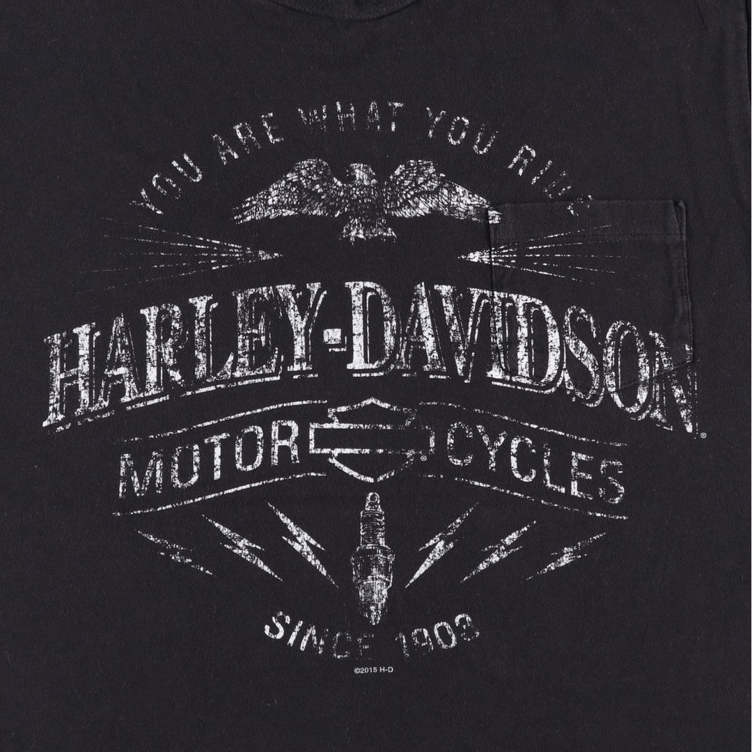 Harley-Davidson Eagle Pattern Motorcycle Bike T-shirt Men's L size cotton black type Vintage Second Hand