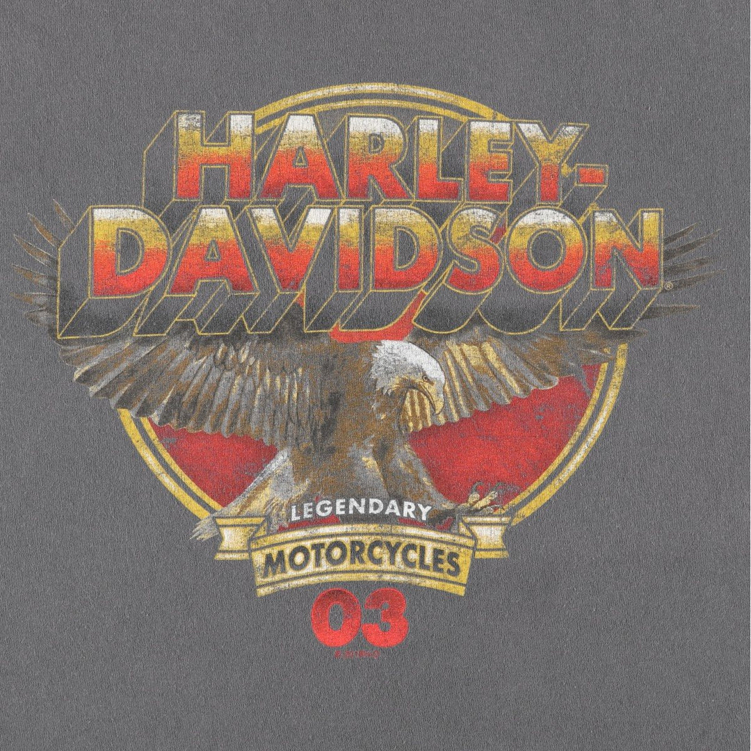 Harley-Davidson Eagle Pattern Motorcycle Bike T-shirt Men's XL unclear gray type Vintage Second Hand
