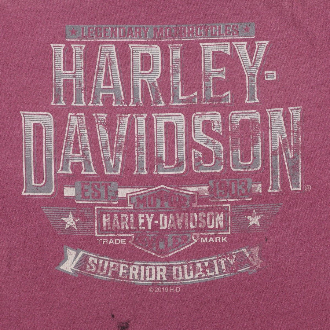 Harley-Davidson Motorcycle Bike T-shirt, Men's Size L cotton Red type red-purple Vintage Second Hand