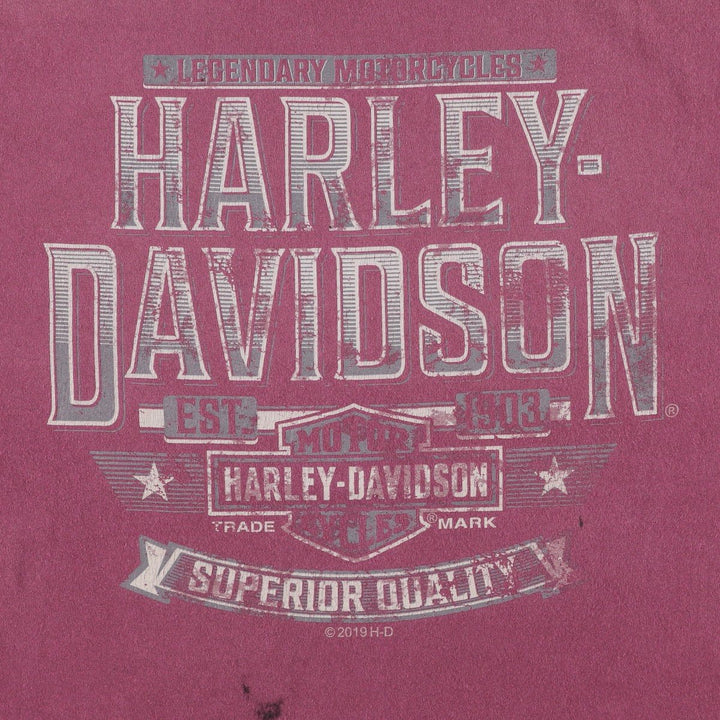 Harley-Davidson Motorcycle Bike T-shirt, Men's Size L cotton Red type red-purple Vintage Second Hand