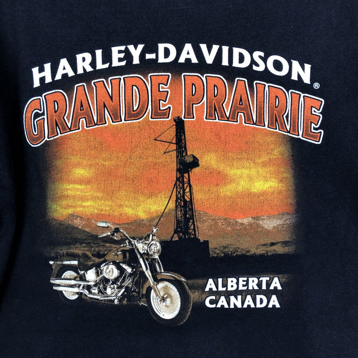 2000'S Harley-Davidson Eagle Pattern Fire Pattern Motorcycle T-Shirt, Men's Size M (approx.) cotton black type Vintage Second Hand