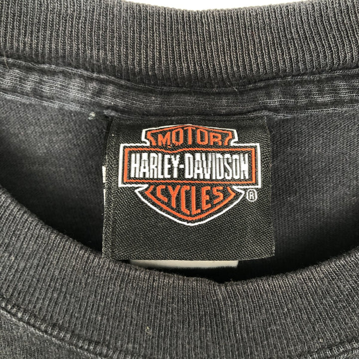 Harley-Davidson Skull Pattern Skull Wing Fire Pattern Motorcycle Bike T-Shirt, Men's Size M (approx.) unclear black type Vintage Second Hand