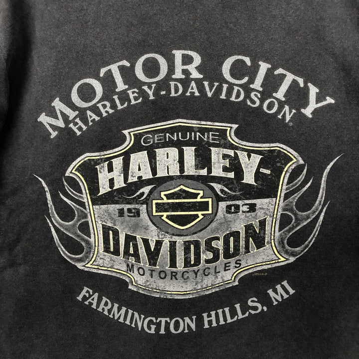 Harley-Davidson Skull Pattern Skull Wing Fire Pattern Motorcycle Bike T-Shirt, Men's Size M (approx.) unclear black type Vintage Second Hand