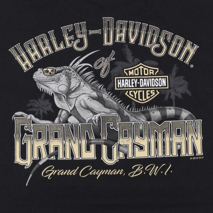 Harley-Davidson Skull Pattern Motorcycle Bike T-shirt Men's XL cotton black type Vintage Second Hand
