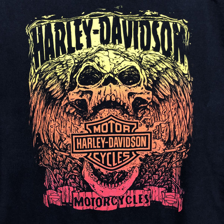 Harley-Davidson Skull Pattern with Wings, Motorcycle T-Shirt, Men's, Size XL cotton black type Vintage Second Hand
