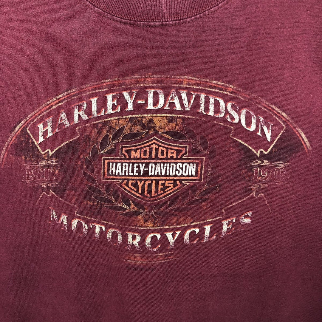 Harley-Davidson Stars and Stripes Motorcycle Bike T-Shirt Made in USA Men's L size cotton burgundy type Vintage Second Hand