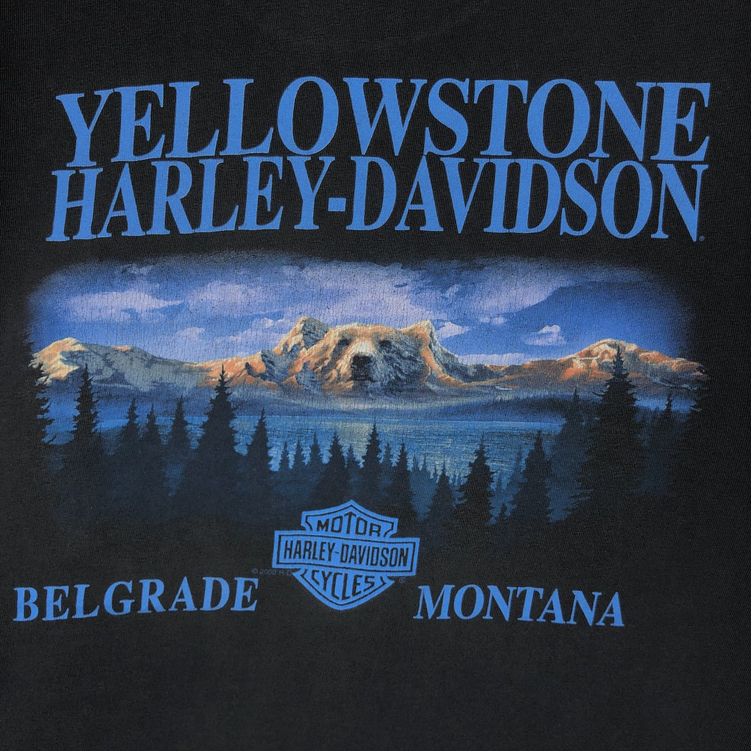 2000'S Harley-Davidson Bear Pattern Motorcycle T-Shirt, Men's Size L (approx.) unclear black type Vintage Second Hand