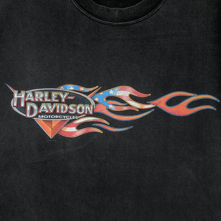 2000'S Harley-Davidson American flag and fire pattern motorcycle t-shirt, made in USA, men's size L equivalent. cotton black type Vintage Second Hand
