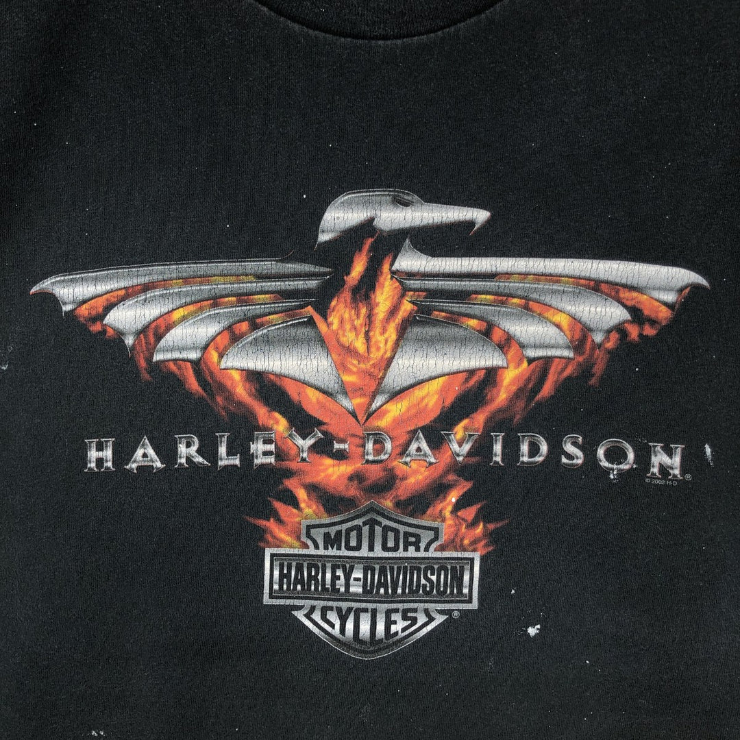2000'S Harley-Davidson Fire Pattern Stars and Stripes Motorcycle T-Shirt, Made in USA, Men's XL (approx.) cotton black type Vintage Second Hand
