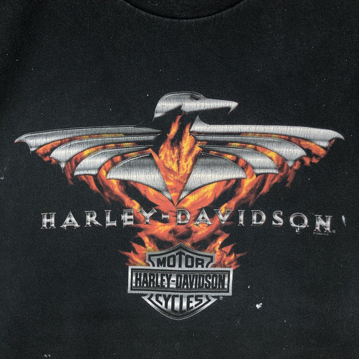 2000'S Harley-Davidson Fire Pattern Stars and Stripes Motorcycle T-Shirt, Made in USA, Men's XL (approx.) cotton black type Vintage Second Hand