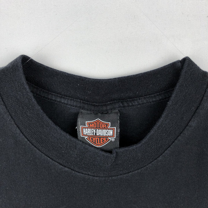 2000'S Harley-Davidson Skull Pattern with Skull Wings Motorcycle T-Shirt, Made in USA, Men's Size Large cotton black type Vintage Second Hand
