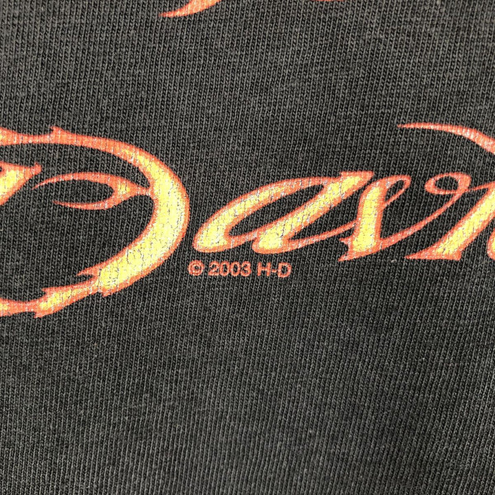 00'S Harley-Davidson Fire Pattern Motorcycle Bike T-Shirt Men's L size cotton black type Vintage Second Hand