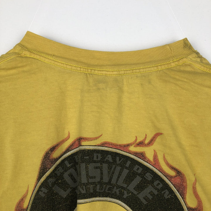 00'S Harley Davidson Eagle Pattern Fire Pattern Motorcycle Bike T-shirt Made in USA Men's L size cotton yellow type Vintage Second Hand