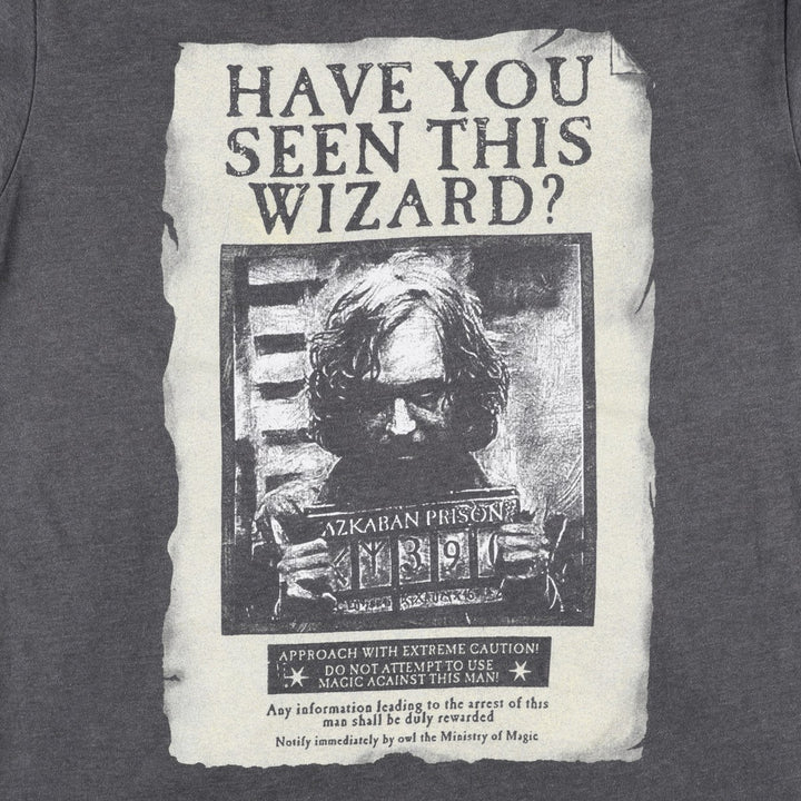 Harry Potter Sirius Black Movie T-Shirt (Men's Size M) cotton Charcoal Vintage Second Hand