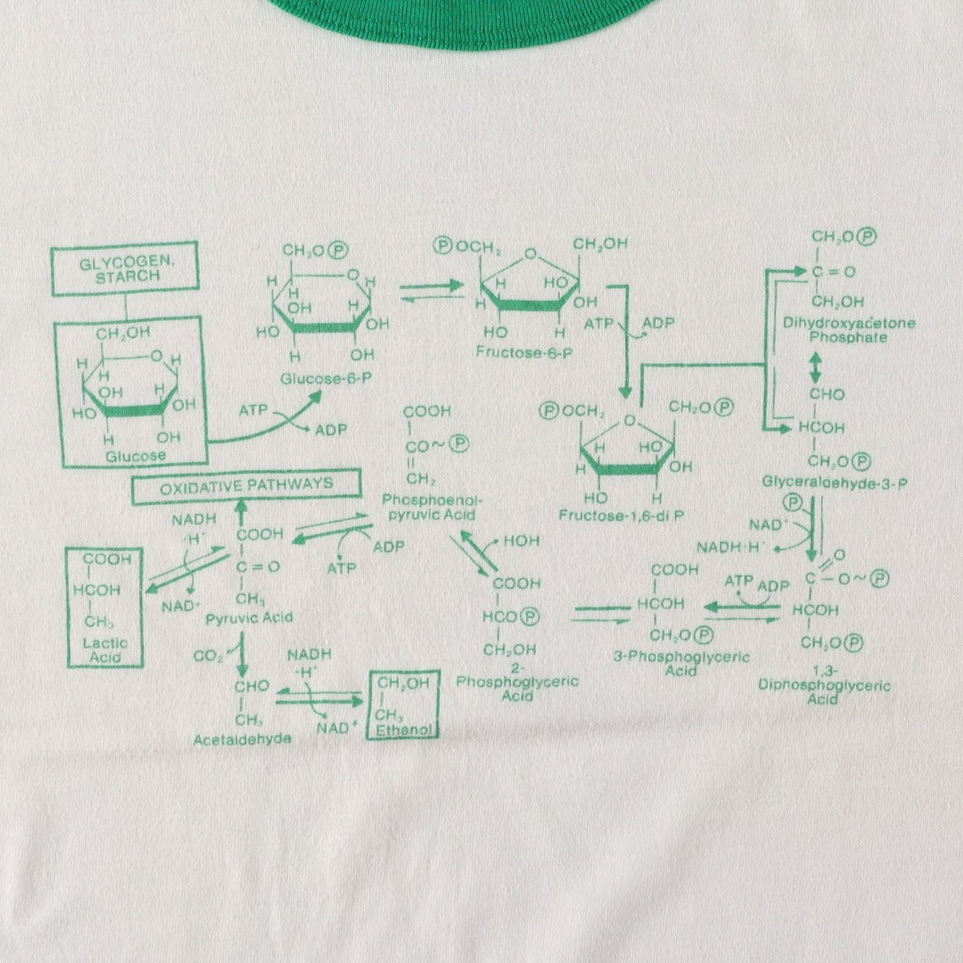 Vintage 80'S Hanes POLY-COTTON Blue Tag Ringer T-shirt Made in USA Men's L size cotton white type Vintage Second Hand