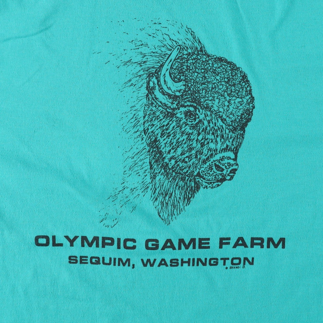 90'S Hanes Fifty-Fifty Blue Tag Bison Pattern Animal T-Shirt, Made in USA, Men's XL equivalent, Vintage cotton Blue type light blue Vintage Second Hand