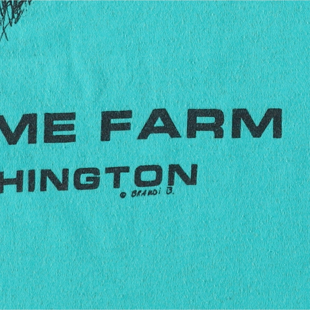 90'S Hanes Fifty-Fifty Blue Tag Bison Pattern Animal T-Shirt, Made in USA, Men's XL equivalent, Vintage cotton Blue type light blue Vintage Second Hand