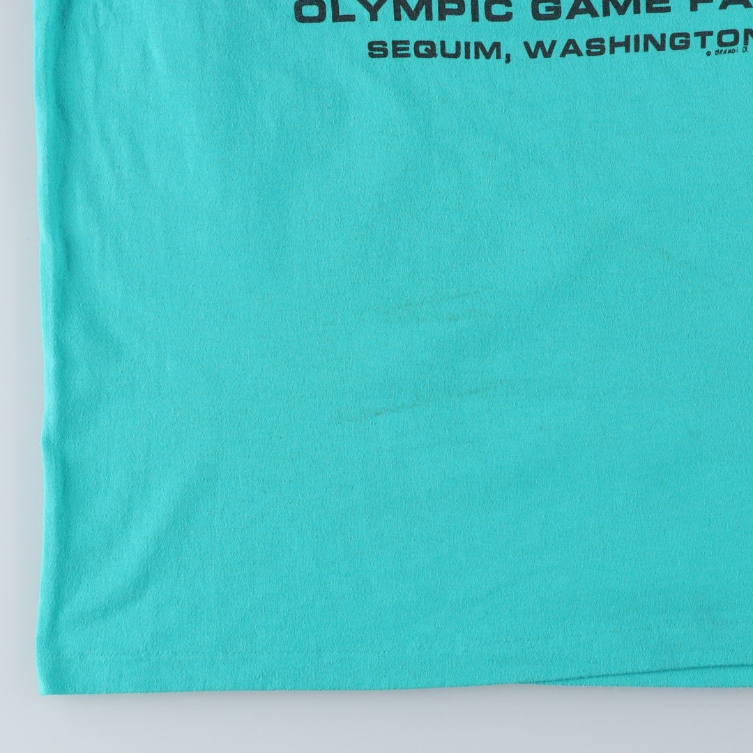 90'S Hanes Fifty-Fifty Blue Tag Bison Pattern Animal T-Shirt, Made in USA, Men's XL equivalent, Vintage cotton Blue type light blue Vintage Second Hand