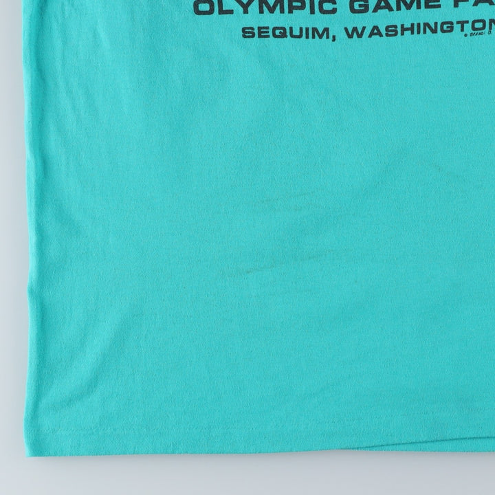 90'S Hanes Fifty-Fifty Blue Tag Bison Pattern Animal T-Shirt, Made in USA, Men's XL equivalent, Vintage cotton Blue type light blue Vintage Second Hand