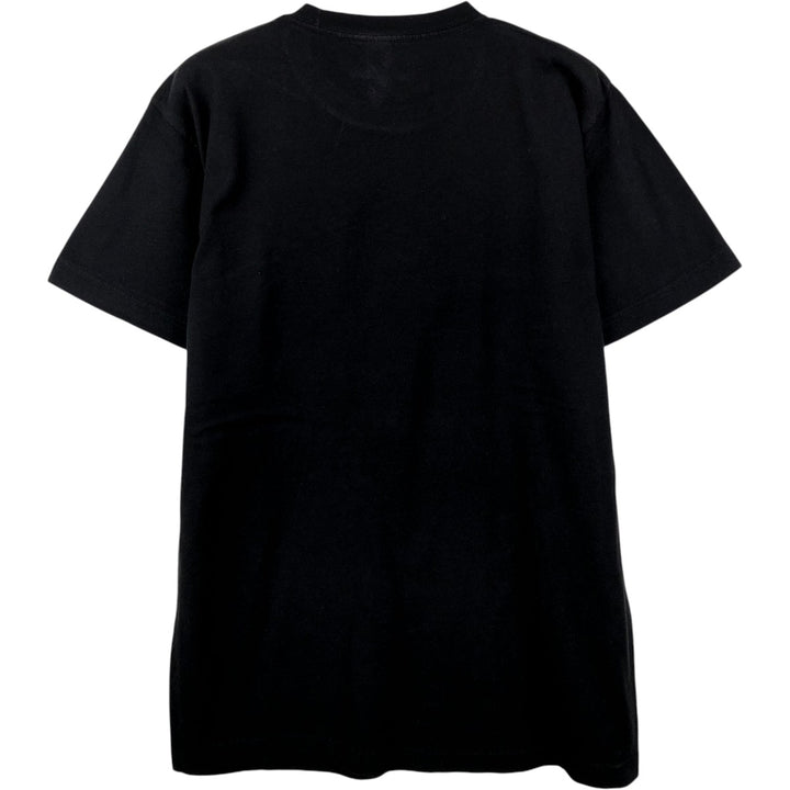 TULTEX GREEN DAY Green Day Band T-shirt Band Tee Men's M size cotton black type Vintage Second Hand