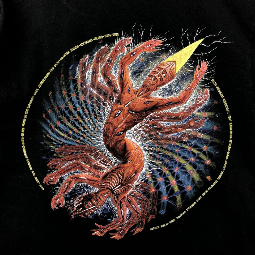 TOOL Band T-shirt, Men's Medium unclear black type Vintage Second Hand