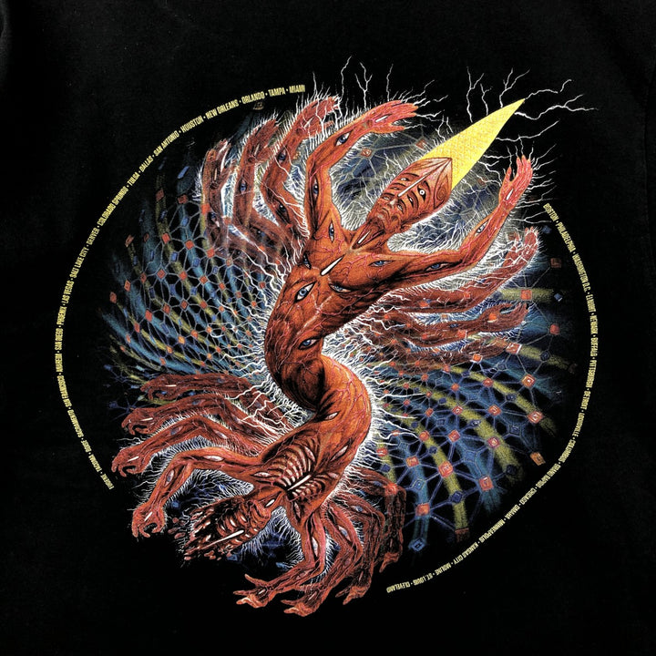 TOOL Band T-shirt, Men's Medium unclear black type Vintage Second Hand