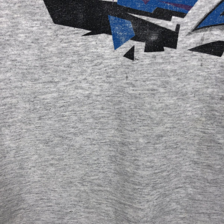 90'S Hanes Heavyweight NFL Carolina Panthers sports print T-shirt, men's size L (approx.) cotton gray type Vintage Second Hand
