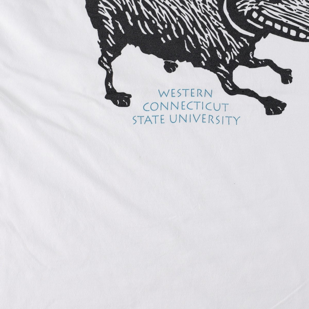 90'S Hanes BEEFY-T College T-shirt, Made in USA, Men's XL, Vintage cotton white type Vintage Second Hand