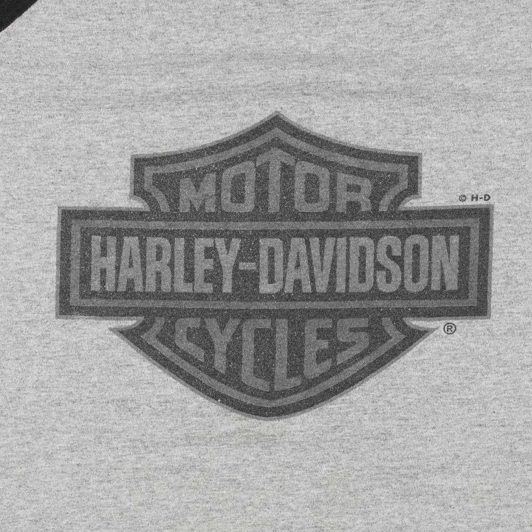 Vintage Harley-Davidson Motorcycle T-Shirt, Men's XL cotton gray type Vintage Second Hand