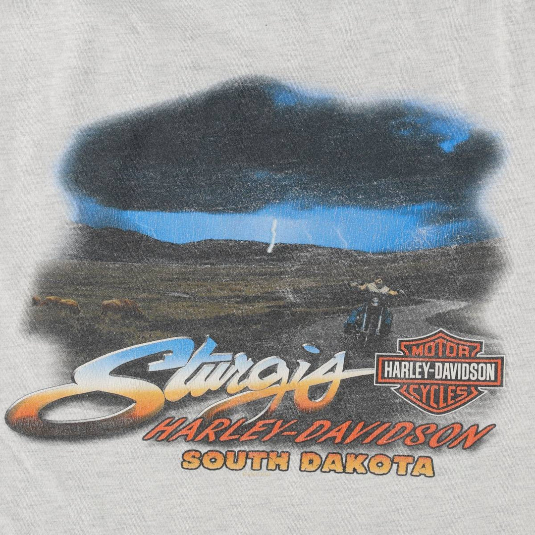 00'S Harley-Davidson Motorcycle Bike T-shirt Made in USA Men's XXL cotton gray type Vintage Second Hand
