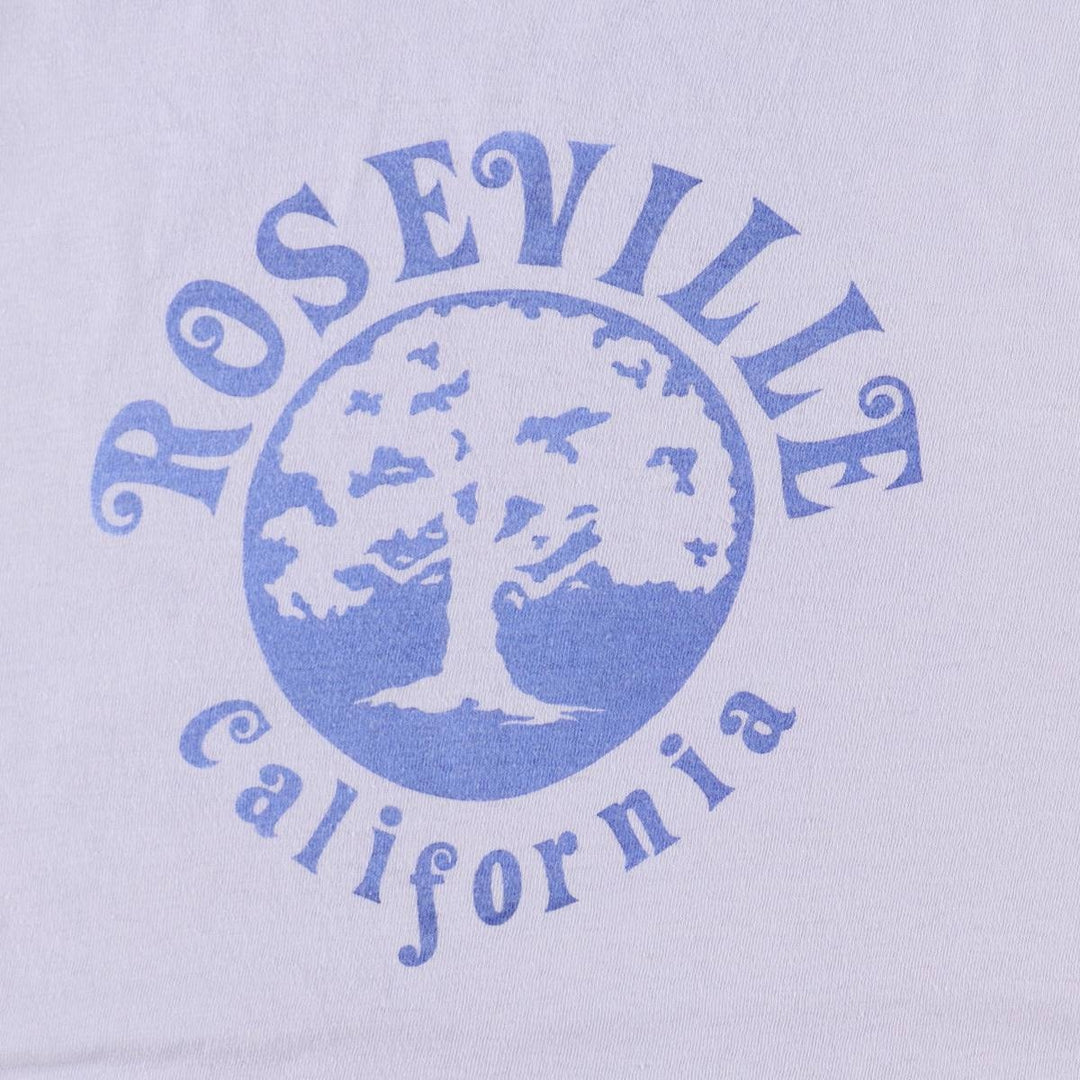 1970'S Hanes Triangle Tag Printed T-Shirt, Made in USA, Men's Size XL (Equivalent), Vintage cotton purple type Vintage Second Hand