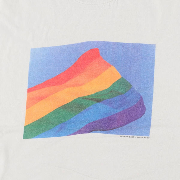 90'S Hanes BEEFY-T Printed T-shirt Made in USA Men's XL Vintage cotton white type Vintage Second Hand